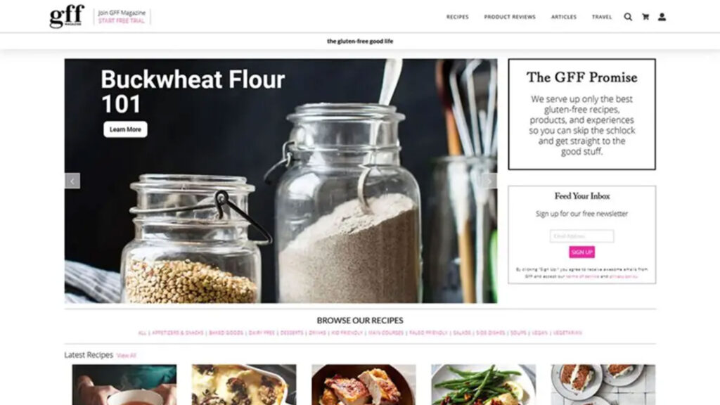 gff magazine website design and development