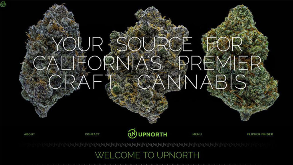 UpNorth website design and development